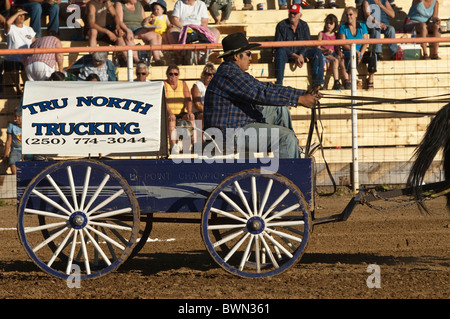 Chuck wagon races, fort Nelson, Colombie-Britannique, Canada Banque D'Images