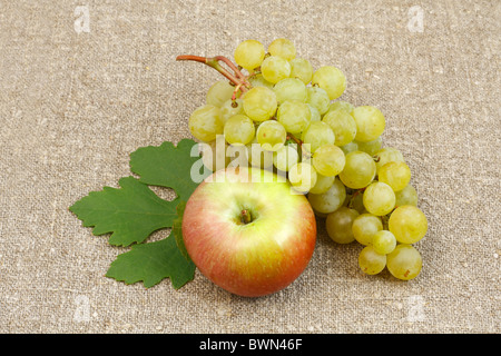 Tas de pommes et raisins blancs sur fond de la membrane Banque D'Images