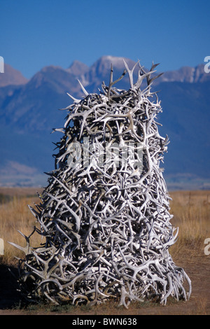 États-unis d'Amérique États-Unis Amérique du Nord Montana Moiese National Bison Range collection bois grande pile pi Banque D'Images