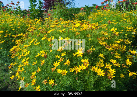 Jardin Kingsbrae à St. Andrews, Nouveau-Brunswick, les Maritimes, Canada. Banque D'Images