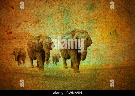 Abstract vintage paysage de savane Banque D'Images