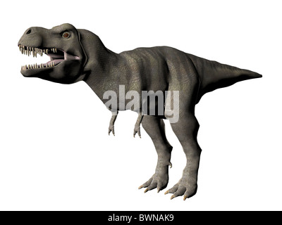 3D illustration sur aTyrannosaurus dinosaure Rex Banque D'Images