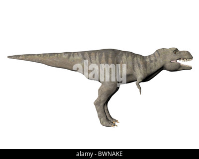 3D illustration d'un dinosaure Tyrannosaurus Rex Banque D'Images