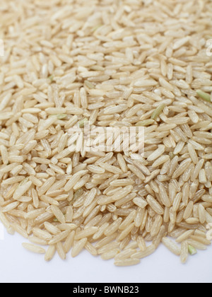 Riz Basmati brun organique Banque D'Images