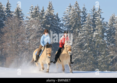 Deux jeunes coureurs pendant un tour dehors en hiver à l'arrière du cheval norvégien Banque D'Images