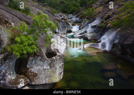 Garganta de los Infiernos, les gorges de l'brasiers, coupe à travers les montagnes de la Sierra de Gredos, Estrémadure, Espagne Banque D'Images