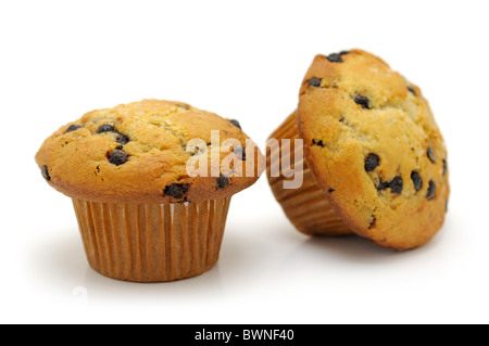Muffins au chocolat (puce) Banque D'Images