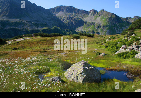 La Vallée des cinq lacs polonais (Dolina Stawow Pieciu) dans les Tatras, Pologne Banque D'Images