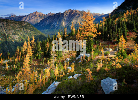Heather Pass, le long col d'érable / Lake Ann trail dans le parc national des North Cascades. Banque D'Images