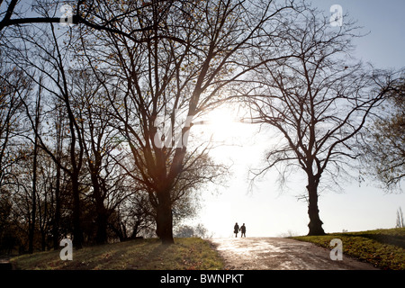 Hampstead Heath. Couple walking in soleil d'automne. London, England, UK Banque D'Images
