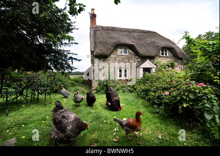 Une chaumière avec des poules dans le jardin, Wiltshire, Royaume-Uni Banque D'Images