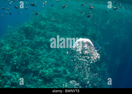 La photo montre des bulles sous-marines qui soulèvent de la profondeur du bleu de la mer Banque D'Images