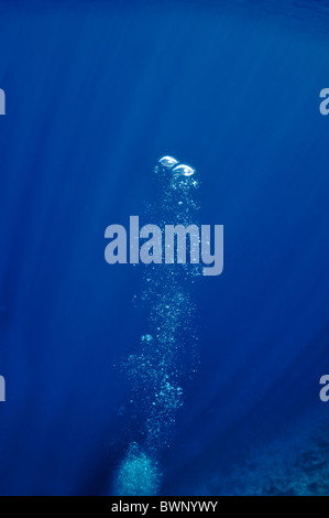 La photo montre des bulles sous-marines qui soulèvent de la profondeur du bleu de la mer Banque D'Images