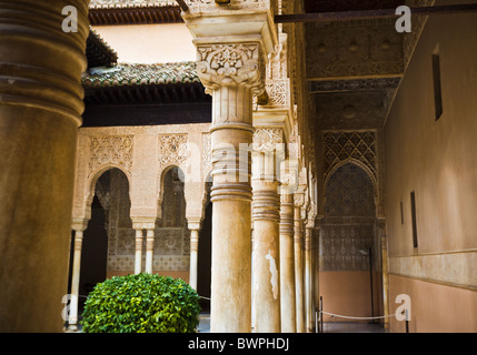 Colonnes sur Patio des Lions à l'Alhambra (Grenade, Espagne) Banque D'Images