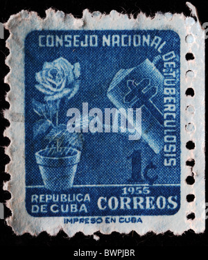 CUBA - circa 1955 : timbre imprimé en Cuba montre l'arrosage des rose dans jag, vers 1955 Banque D'Images