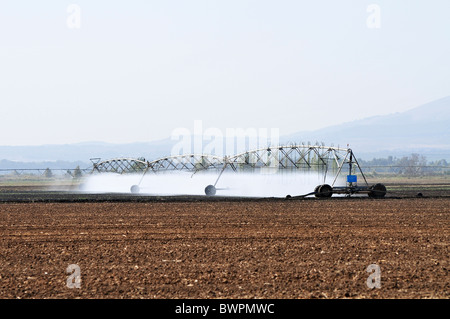 Israël, Vallée de Hula, robot d'irrigation d'un champ d'arrosage Banque D'Images