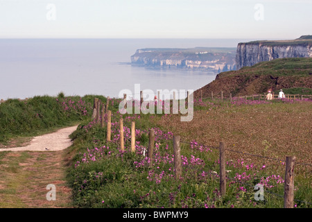 À au sud de Bempton Cliffs Banque D'Images