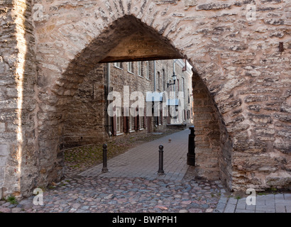 Arcade vieux mène au chemin en maisons de pierre à Tallinn en Estonie Banque D'Images