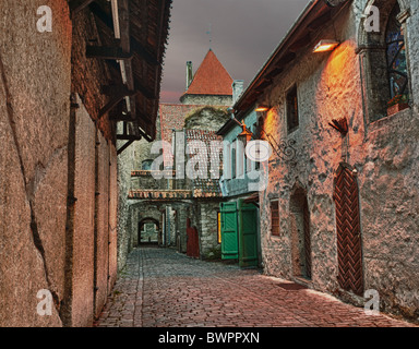 Tallinn, Estonie - maisons dans une vieille rue pavée, de nuit Banque D'Images