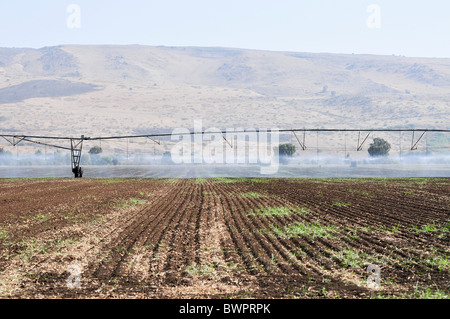 Israël, Vallée de Hula, robot d'irrigation d'un champ d'arrosage Banque D'Images