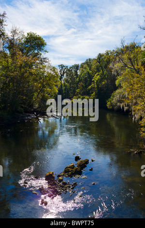 L'Aucilla River à partir de US98 près de Perry dans le Nord de la Floride, USA Banque D'Images