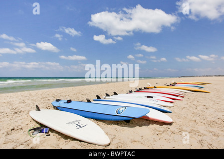 Israël, mer Méditerranée, planches alignées sur la plage Banque D'Images