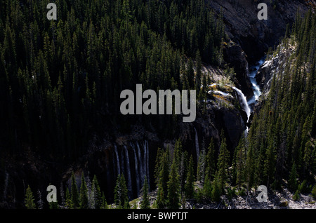 Une cascade au milieu des pins dans le Parc National de Jasper dans les Montagnes Rocheuses du Canada Banque D'Images