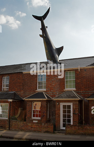 Oxford House requin surréaliste de toit Banque D'Images