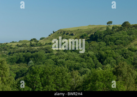 Prestbury Hill nature réserve près de Cheltenham Banque D'Images