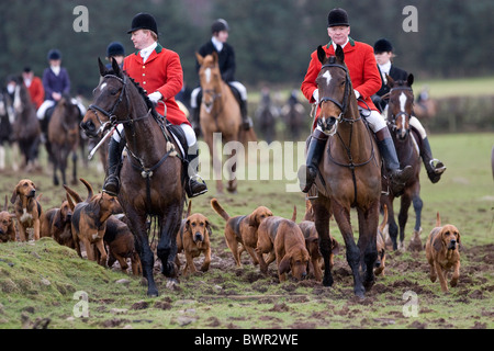 La chasse au renard, le Vallon de Lune Yorkshire Dales, Foxhounds, Angleterre, Royaume-Uni Banque D'Images