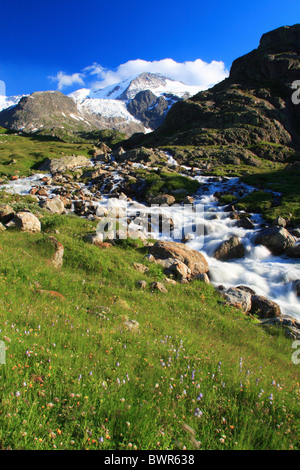 Oberland bernois Suisse Europe Gwachtenhorn Stein Susten Pass glacier salon de l'été dans le canton de Berne Alpes de Berne Banque D'Images