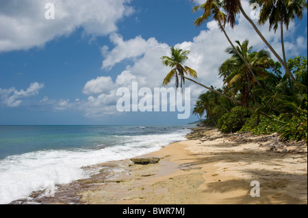 Surf, vagues et Sable sur plage déserte, isolée de Porto Rico Vieques Banque D'Images