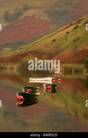 Les petits bateaux de pêche sur Tal y Llyn Lake dans la région de Snowdonia, Pays de Galles UK Banque D'Images