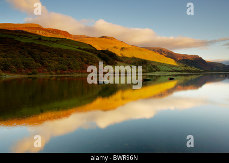 Les petits bateaux de pêche sur Tal y Llyn Lake dans la région de Snowdonia, Pays de Galles UK Banque D'Images