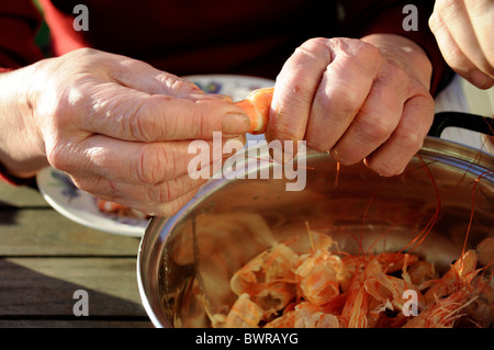 Close up of Womans mains crevettes cuites bombardements sur pot à l'extérieur Banque D'Images