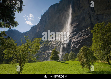 Suisse Europe Staubbach Arbres Canton de Berne Berne Oberland Bernois Chute d'eau Paysage Nature Banque D'Images