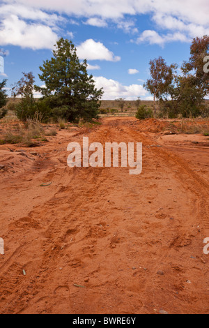 Sable rouge sur l'ancien Coach Road, Mutawintji National Park, New South Wales, Australie Banque D'Images