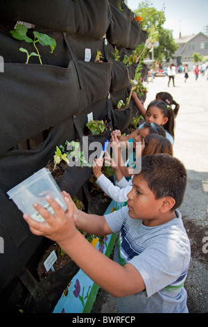 Poche laineux cintres jardin vertical au centre-ville, l'École de la valeur d'un charter school dans le centre-ville de Los Angeles, Californie, USA Banque D'Images