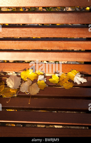 Feuilles d'automne sur un banc de parc à Venise. Banque D'Images