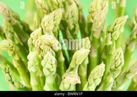 Gerbe d'asperges sur un fond vert. Banque D'Images