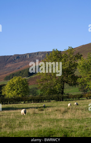 Le Nab et Nether Tor Kinder Scout bord Sud Edale Parc national de Peak District Derbyshire, Angleterre Banque D'Images