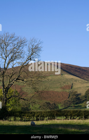 Le Nab Kinder Scout Edale Le parc national de Peak District Derbyshire, Angleterre Banque D'Images