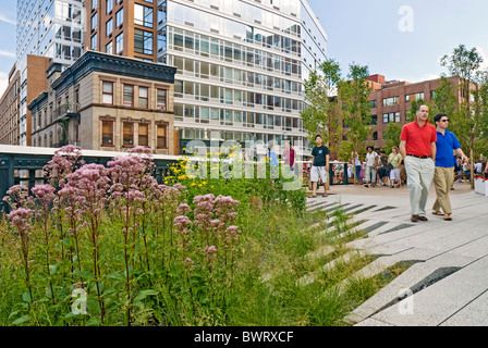 Le parc High Line, New York, Manhattan. Banque D'Images