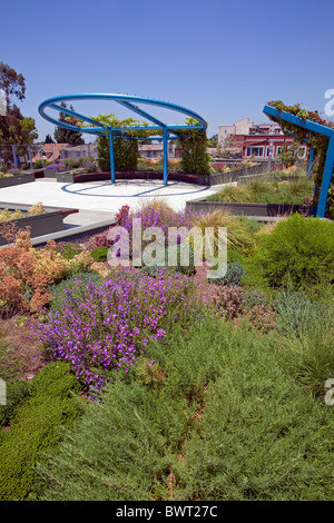 Jardin de toit vert tolérant la sécheresse. Le Conseil de quartier 9 Quartier Hôtel de ville dans le centre-sud de Los Angeles Banque D'Images