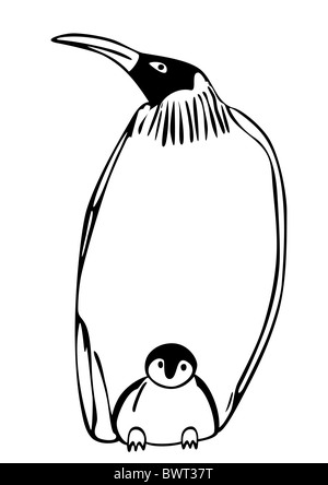 Pingouin avec chiot Banque D'Images