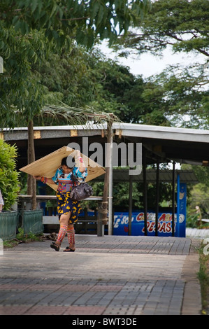 Une femme Kuna un grand morceau de contreplaqué s'apprête à mettre en place son stand pour la vente d'artisanat à Pedasi, Panama. Banque D'Images