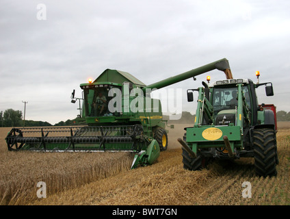 John Deer green moissonneuse-batteuse et un tracteur dans un champ vert la récolte de coupe Banque D'Images