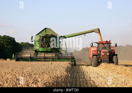 Tracteur et remorque kart maïs Moissonneuse-batteuse John Deer Banque D'Images