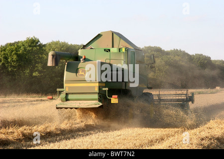 Moissonneuse-batteuse John Deer coupant la récolte dans un champ Dans l'Essex Banque D'Images