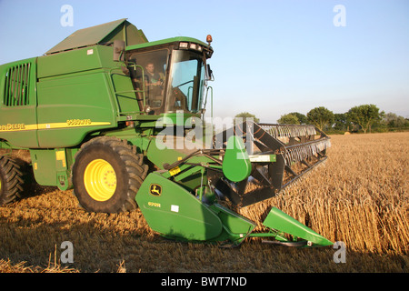 Moissonneuse-batteuse John Deer coupant la récolte dans un champ Dans l'Essex Banque D'Images
